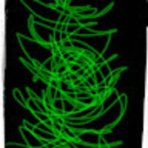 Meet your Posher, Kathryn